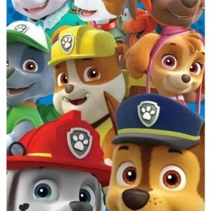Libro paw patrol