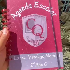 agenda escolar colegio quillon